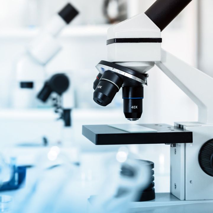 Uzi joints and internal organs (Demo) Ear wax removal Ear cleaning